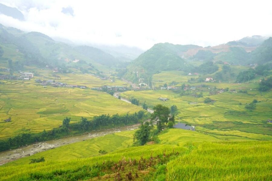 Full Day Trekking Lao Chai-Ta Van and Cat Cat Village - Lunch in Sapa: a solid meal, but don’t expect it to steal the show