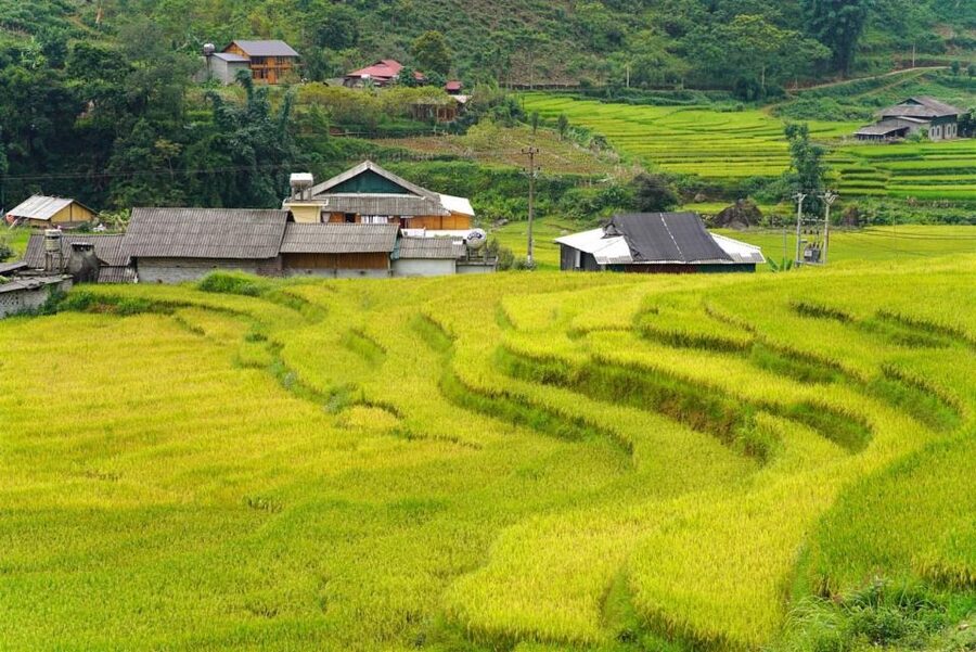 Full Day Trekking Lao Chai-Ta Van and Cat Cat Village - The people and guides: where this tour earns its high rating