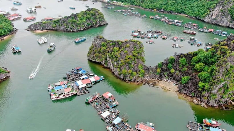 Fullday Trekking in Cat Ba National Park to Viet Hai Village - Viet Hai commune lunch, local life, and the Doctor Fish pause