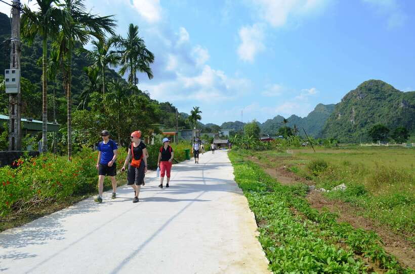 Fullday Trekking in Cat Ba National Park to Viet Hai Village - Boat to Lan Ha Bay: limestone islets and real water time