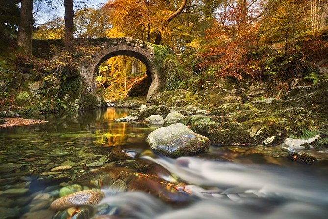 Game of Thrones - Tollymore Forest Trek - Who This Tour Fits Best (And Who Might Want Another Option)