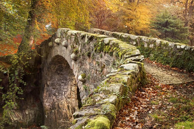 Game of Thrones - Tollymore Forest Trek - Should You Book This Tollymore GOT Trek?