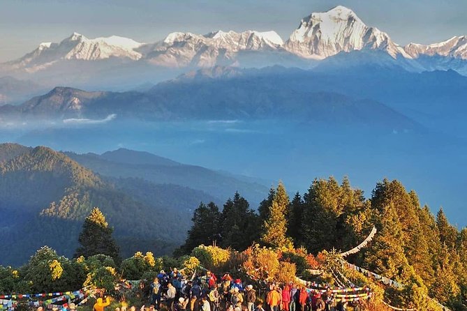 Ghorepani Ghandruk Trek ( Poon Hill circuit, Annapurna sunrise view trek) - Ghorepani: forest hiking plus the best kind of village night