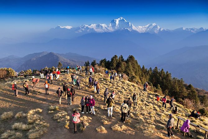Ghorepani Poon Hill Sunrise Trek - Key highlights you’ll feel on the trail