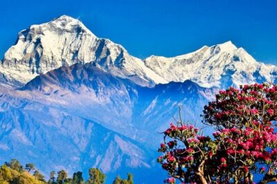 Ghorepani Poon Hill Sunrise Trek - Kathmandu and Pokhara: the setup that protects your energy