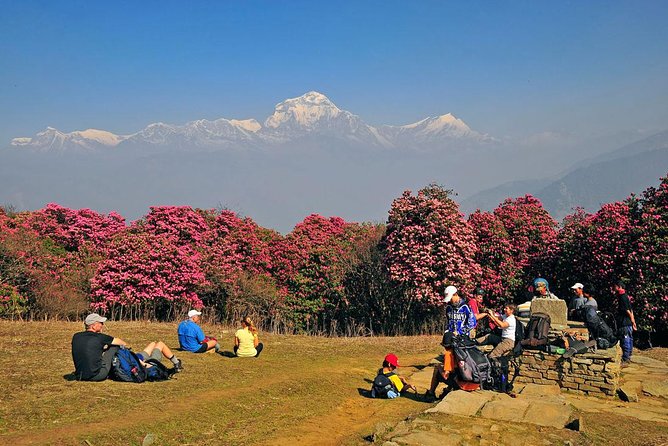 Ghorepani Poon Hill Trek - Day 2: Ulleri uphill, Bhanthati viewpoints, and forest walking