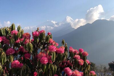 Ghorepani Poon Hill Trek - Price and value: what $700 covers (and what it doesn’t)