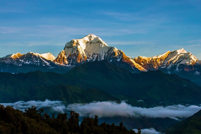Ghorepani - Poon Hill Trek – 5 DAYS - Support Team Details: Sujan Planning, Ding on the Trail
