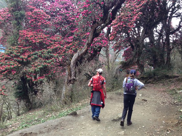 Ghorepani Poon Hill Trek - Day 3: Poon Hill sunrise at 3,210 m and the peak list you came for