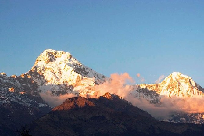 Ghorepani Poon Hill Trekking - Day 2 to Ghorepani: from Ulleri to rhododendron and oak woods