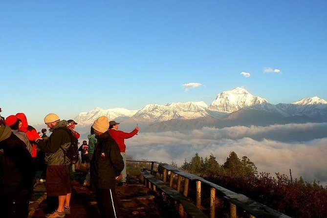 Ghorepani Poonhill Trek 5 Days from Pokhara - Key Highlights You’ll Actually Feel on the Trail