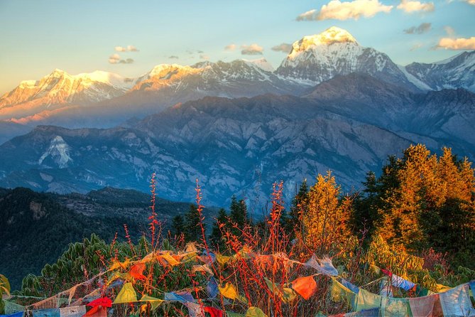 Ghorepani Poonhill Trek 5 Days from Pokhara - Guides, Porters, and the “Small Group” Advantage