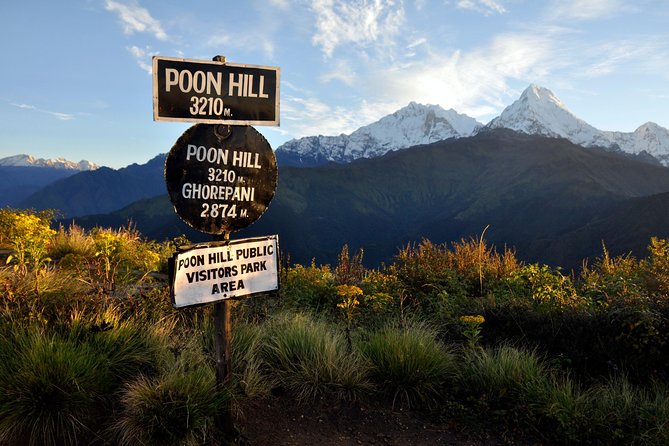 Ghorepani Poonhill Trek 5 Days from Pokhara - Price and Logistics: What $450 Really Buys