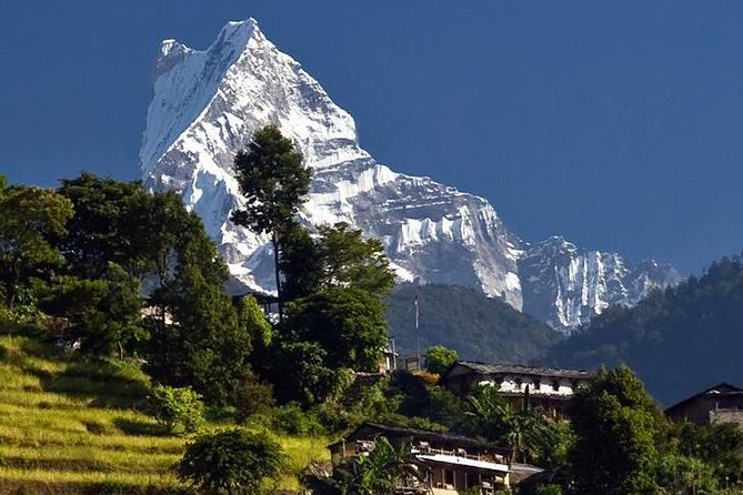 Ghorepani Poonhill Trek -8 Days - Ghorepani to Ghandruk: the easy descent that feels like a reward