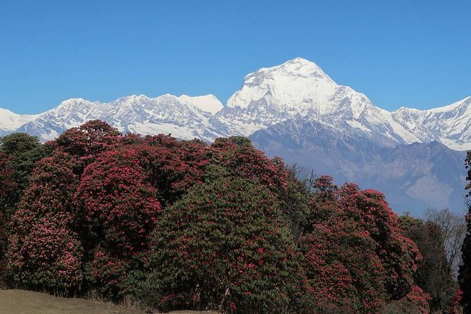 Ghorepani Poonhill Trek -8 Days - Getting back to Kathmandu: road segments plus the Manakamana cable car