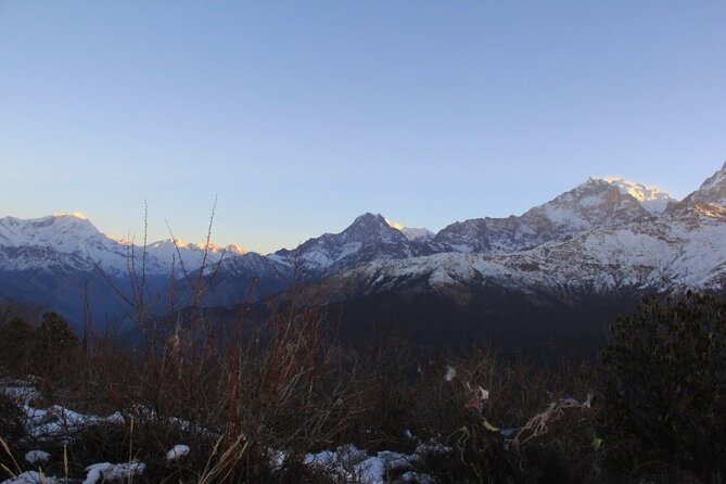 Ghorepani Poonhill Trek from Pokhara - 4 Days - The Team Factor: Guides and Porters You’ll Notice