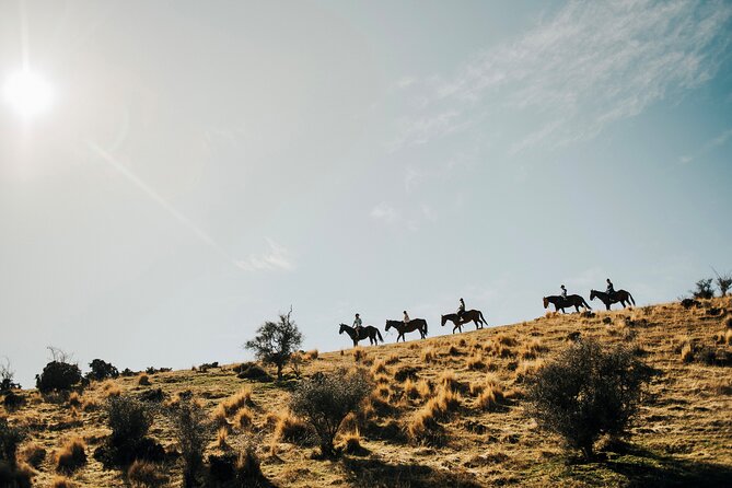 Gold Discovery Trail Horse Trek Cardrona - Most popular! - Key things to know before you ride the Gold Discovery Trail