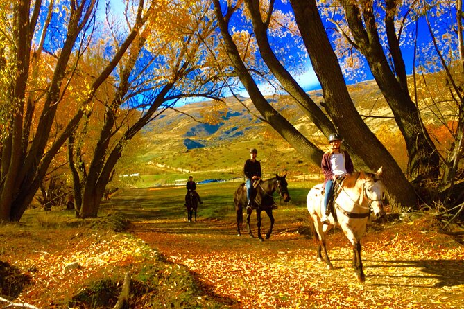 Gold Discovery Trail Horse Trek Cardrona - Most popular! - Horseback Through the Cardrona Gold Rush Country