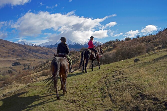 Gold Discovery Trail Horse Trek Cardrona - Most popular! - Getting Matched With a Horse That Fits Your Skills