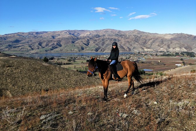 Golden Hills Horse Trek in Central Otago - Golden Hills Horse Trek at a glance: Central Otago in 2 hours