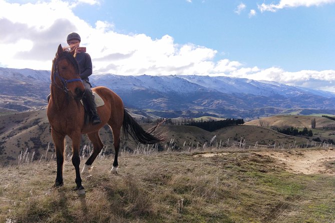 Golden Hills Horse Trek in Central Otago - Getting to Cromwell: why the meeting point is part of the experience