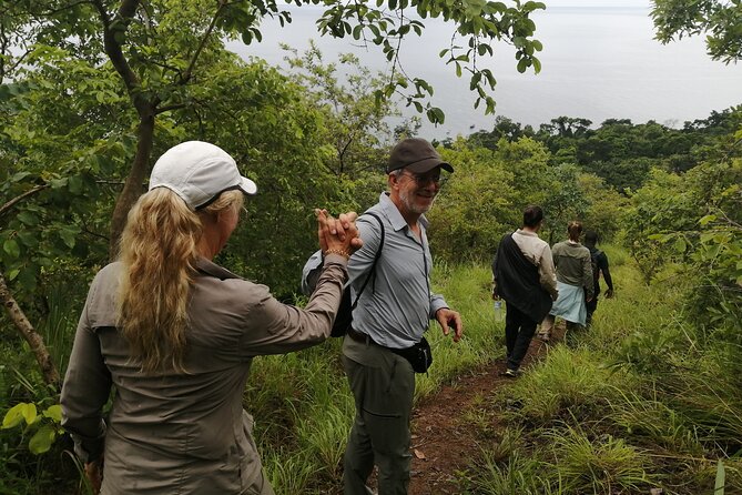Gombe National Park Chimpanzee Trekking - Gombe Stream National Park: what you’re really booking