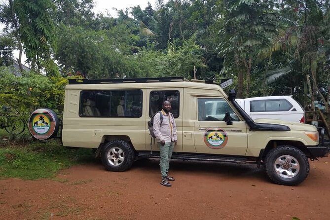 Gorilla & Chimpanzee Trekking in Uganda - 5 Days - Day 1: Queen Elizabeth National Park and Mweya Safari Lodge