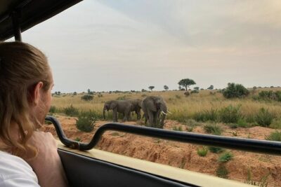 Gorilla & Chimpanzee Trekking in Uganda - 5 Days - Price and Value: What $3,630 Per Person Is Covering