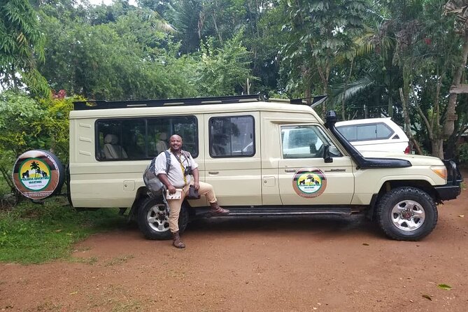 Gorilla & Chimpanzee Trekking in Uganda - 5 Days - Day 5: The Long Return to Kampala or Entebbe (and the Kigali Option)