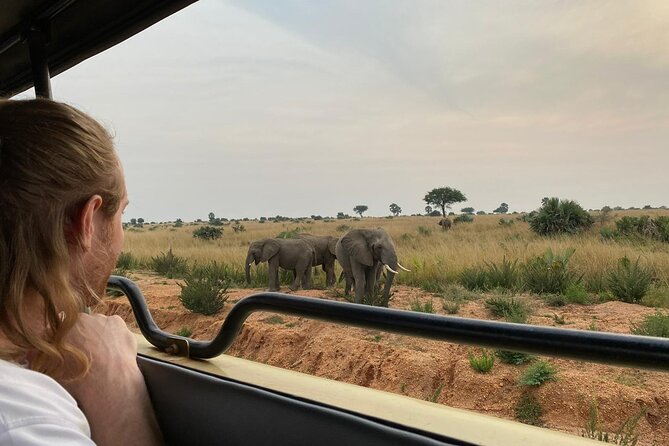 Gorilla & Chimpanzee Trekking in Uganda - 5 Days - Price and Value: What $3,630 Per Person Is Covering