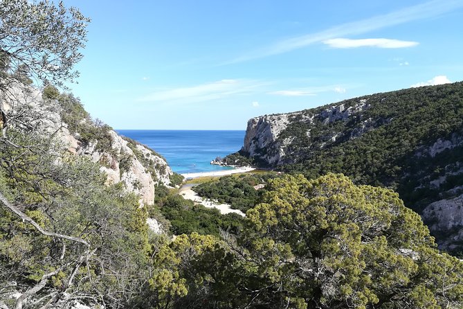 Guided hike to Cala Luna, the pearl of the Gulf of Orosei - Price and What You’re Really Paying For ($72.56)