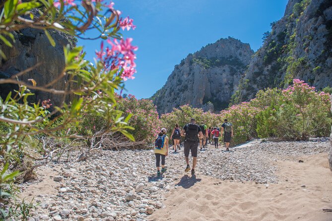 Guided hike to Cala Luna, the pearl of the Gulf of Orosei - Who This Hike Suits (and Who Should Rethink It)