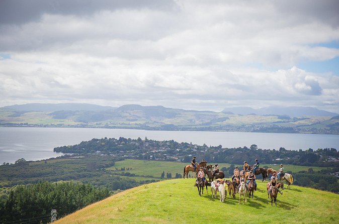 Guided Horse Trekking from Rotorua - Why Mt. Ngongotaha feels like Rotorua’s backyard
