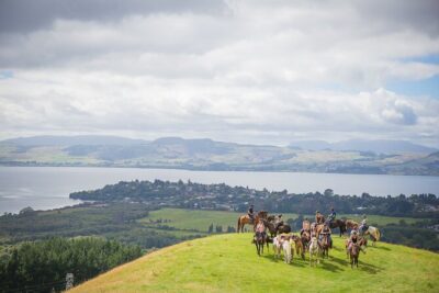 Guided Horse Trekking from Rotorua - Price and timing: what $68.26 buys you