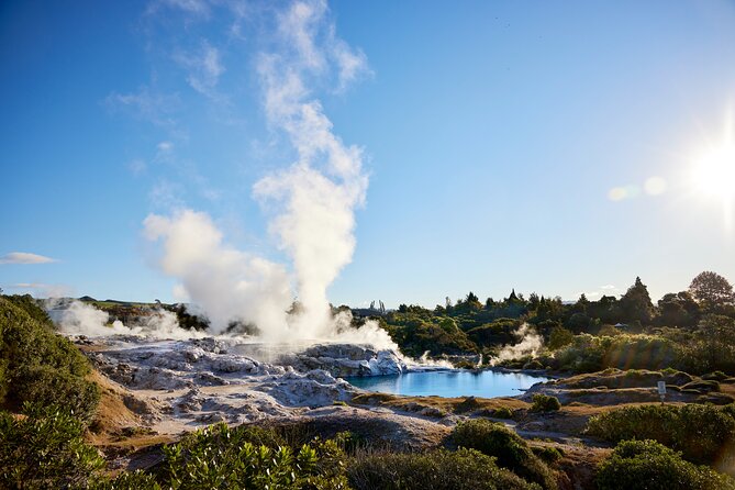Guided Horse Trekking from Rotorua - The ride itself: paddock practice to lake lookout