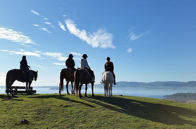 Guided Horse Trekking from Rotorua - Your two stops: lake lookout and the Adventure Playground