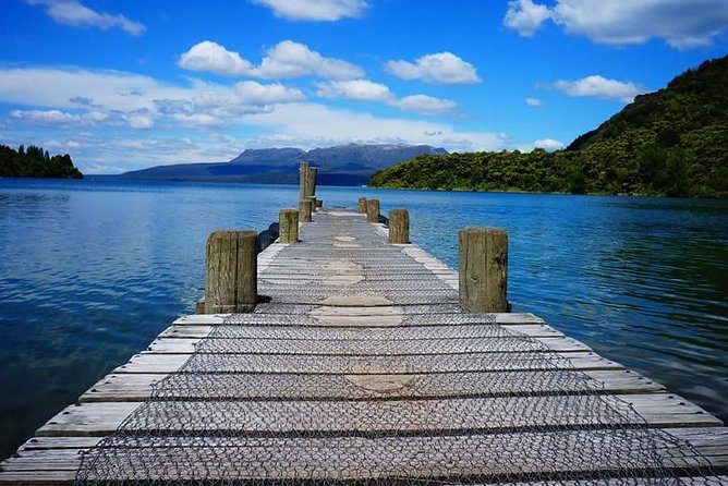 Guided Horse Trekking from Rotorua - Guide style and horse matching for first-timers