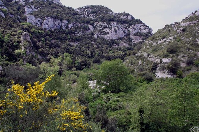 Guided Trekking to Cavagrande del Cassibile in Sicily - Reaching the bottom: crystal water and a real chance to cool off