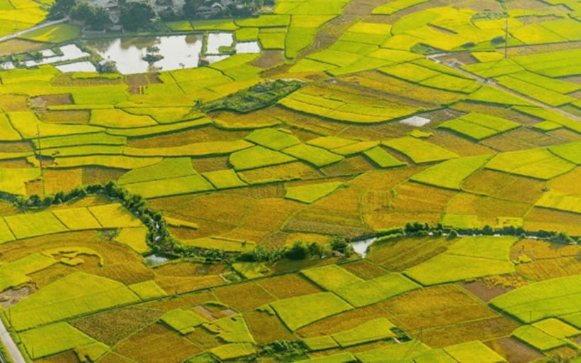 Ha Noi - Mai Chau - Pu Luong 2 Days 1 Night Trekking Tour - Cycling Mai Chau Valley: Easy Legs, Big Rice-Paddy Payoff