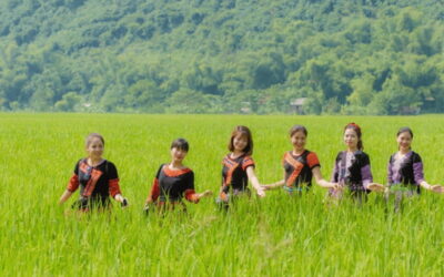 Ha Noi - Mai Chau - Pu Luong 2 Days 1 Night Trekking Tour - Thai Stilt House Homestay in Mai Chau: Practical Comfort Plus Culture