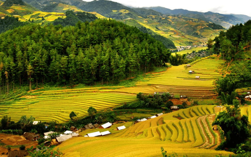 Ha Noi - Mai Chau - Pu Luong 2 Days 1 Night Trekking Tour - Timing and Weather: When the Terraces Look Their Best