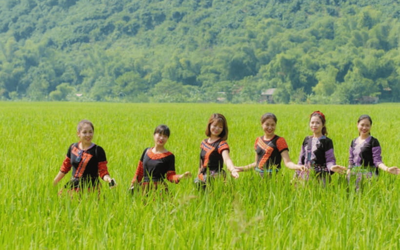 Ha Noi - Mai Chau - Pu Luong 2 Days 1 Night Trekking Tour - Thai Stilt House Homestay in Mai Chau: Practical Comfort Plus Culture