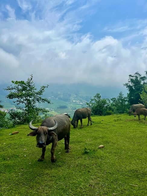 Ha Noi-Sapa Authentic Trek & Homestay wih hmong women (2D1N) - What’s included (and what you should not expect)