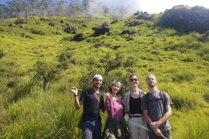 Half Day Hiking in Munnar Trekking Tour - Munnar Tea Country on Foot: What This Half-Day Trek Really Feels Like
