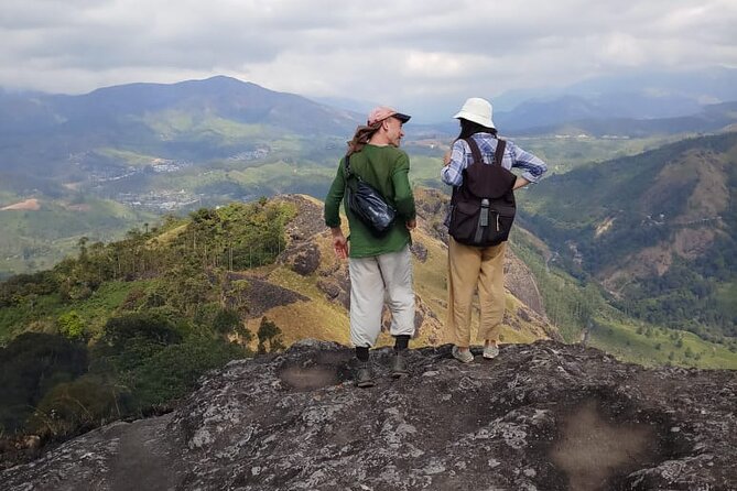 Half Day Hiking in Munnar Trekking Tour - Tea Cultivation Talk and Jungle Walk: The Best Parts That Matter