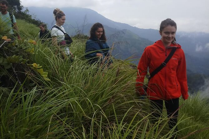 Half Day Hiking in Munnar Trekking Tour - Price and Logistics: What $15 Covers (and What It Doesn’t)