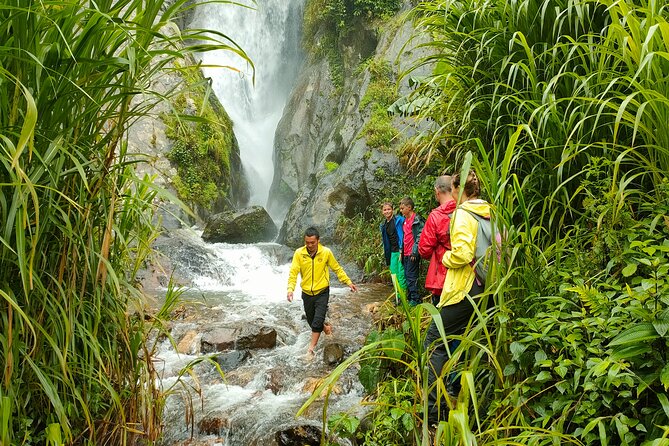 Half Day Private Trekking Mu Cang Chai_Morning or Afternoon - Homestay lunch included: what to expect and how to make it smooth