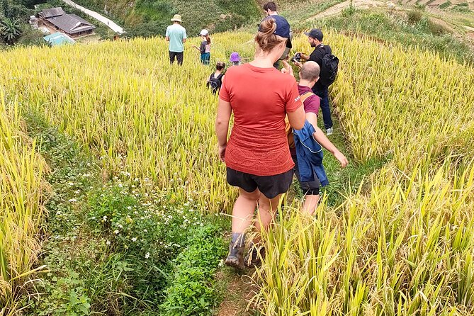 Half Day Private Trekking Mu Cang Chai_Morning or Afternoon - Price and logistics that affect your actual day (not just the number)