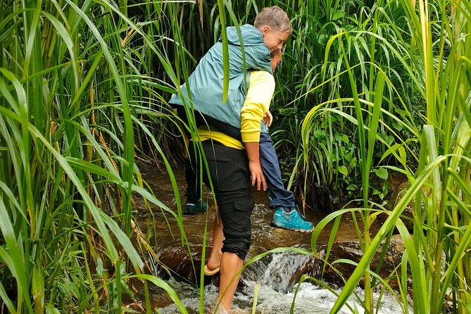 Half Day Private Trekking Mu Cang Chai_Morning or Afternoon - Should you book this Mu Cang Chai half-day private trek?