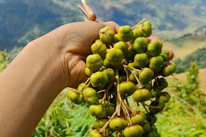 Half Day Private Trekking Mu Cang Chai_Morning or Afternoon - FAQ